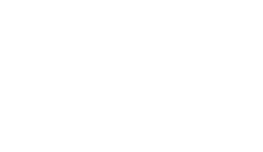 Bolt Bolt